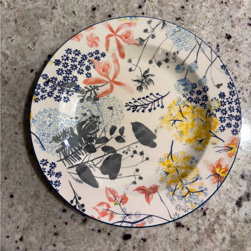 Anthropologie dining plate